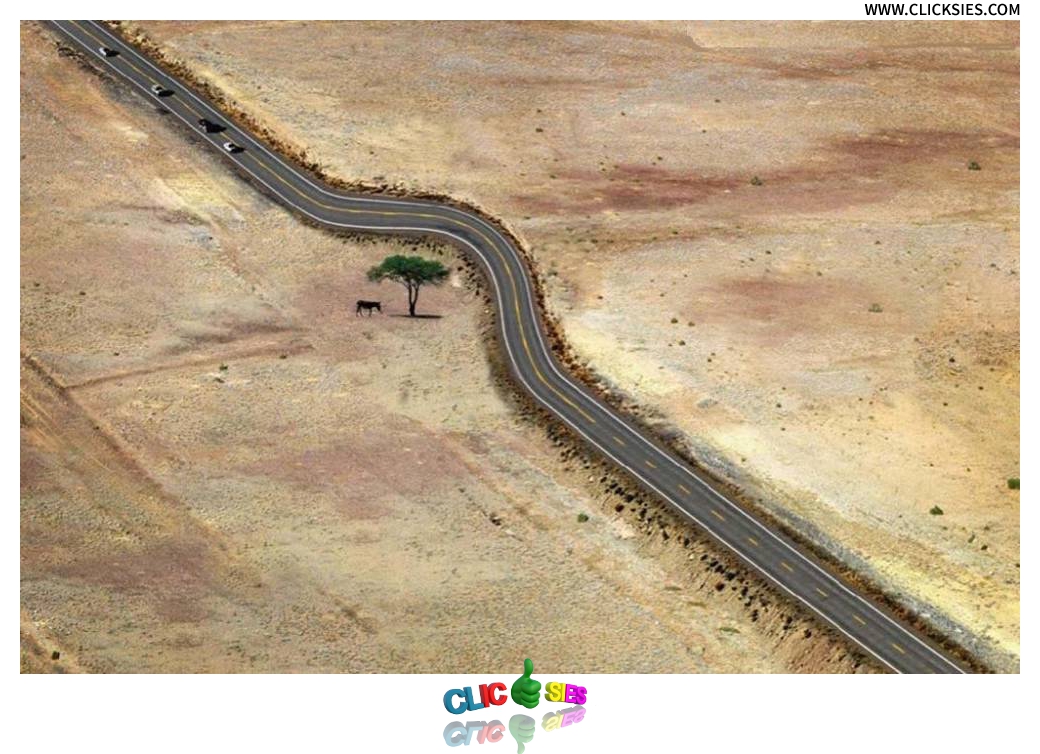 Save every tree as if its the last - www.clicksies.com