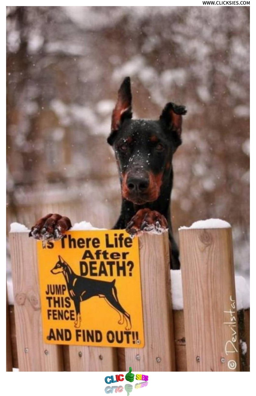 Is there life after death? - www.clicksies.com