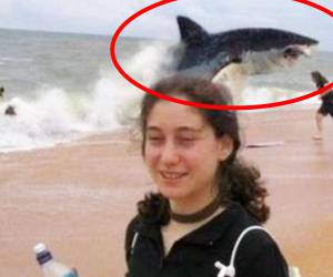 Unbelievable shark attack